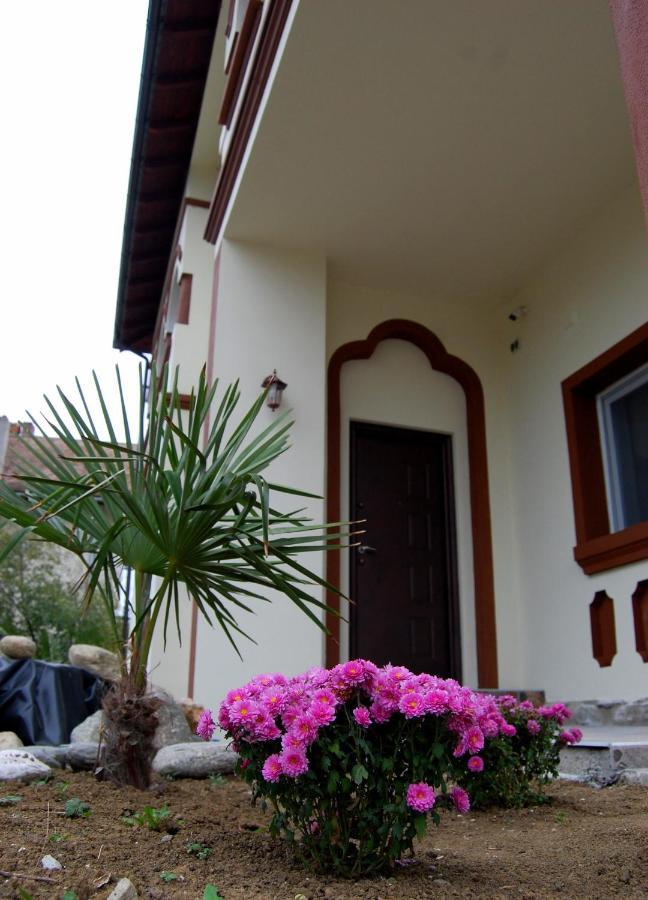 Vila Phoenix Călimăneşti Esterno foto