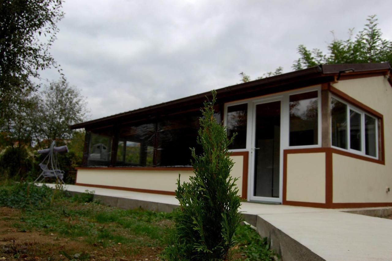 Vila Phoenix Călimăneşti Esterno foto