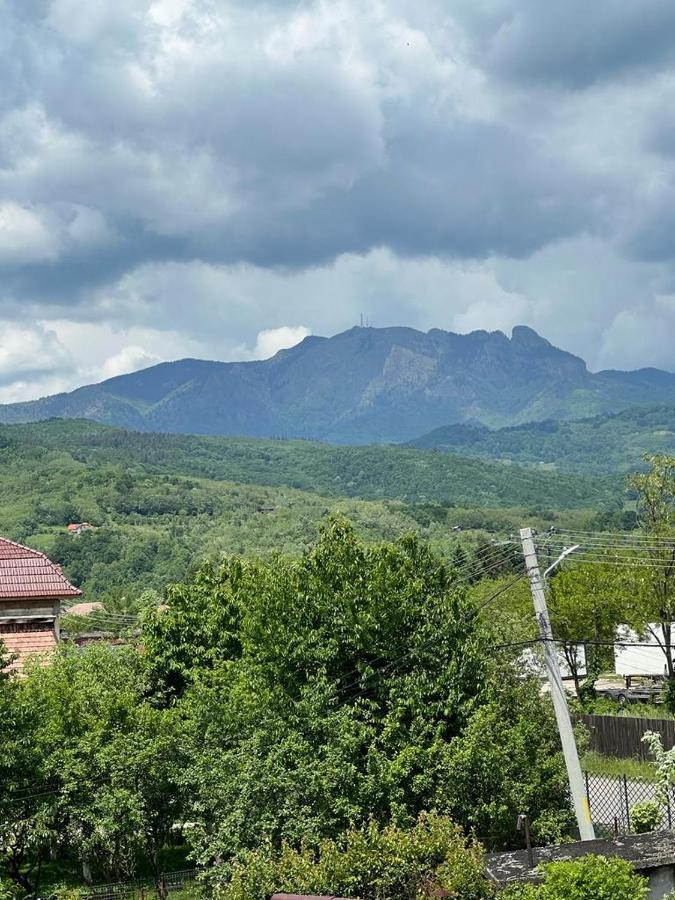 Vila Phoenix Călimăneşti Esterno foto